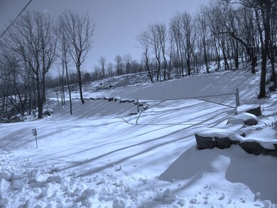 0 Flagstaff Rd unit PM-51073, Jim Thorpe, PA 18229 - photo 5