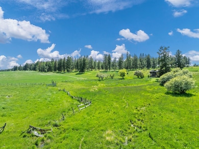 85388 Buford Rd, Enterprise, OR 97828 - photo 4