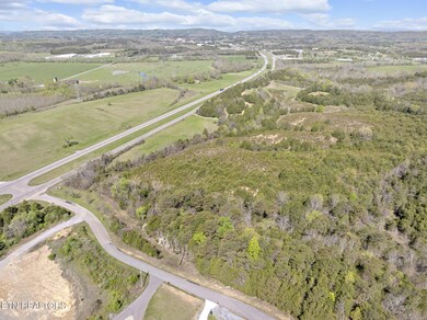 0 W Andrew Johnson Hwy unit 1301169, Mosheim, TN 37818 - photo 3