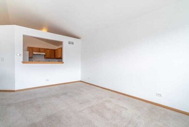 247 W Washington St unit 3265, Oswego, IL 60543 - photo 3