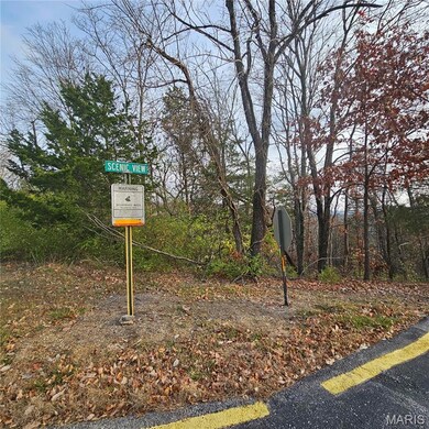 6900 Scenic View Dr, High Ridge Township, MO 63016 - photo 4