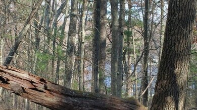 Lot 1 Daniels Rd, Charlton, MA 01507 - photo 2