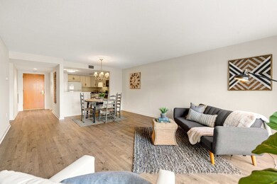 124 Place Ln, Woburn, MA 01801 - photo 6