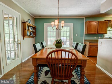 234 Thwaite Ln, Winchester, VA 22603 - photo 6