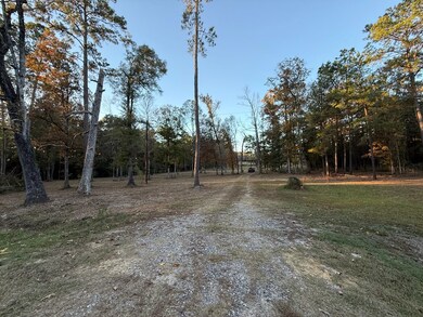 395 Texas 63, Burkeville, TX 75932 - photo 2