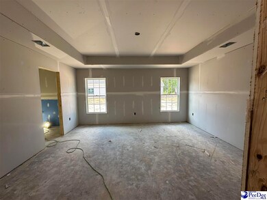 486 Cane Branch Rd, Loris, SC 29569 - photo 4