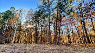 14 Big Bear Rd, Flint Creek, OK 74347 - photo 5