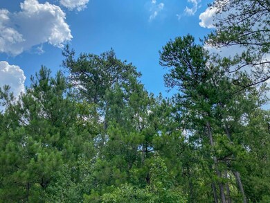 0 Us Hwy 59 unit 22715273, Corrigan, TX 75939 - photo 4