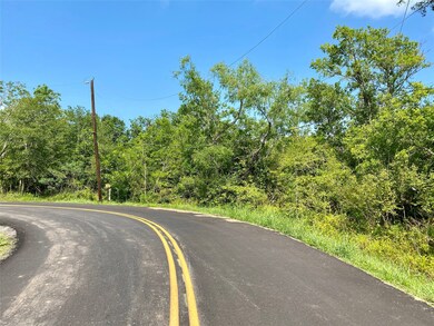 0 Ramble Wood Dr unit 82524722, Brazoria, TX 77422 - photo 2