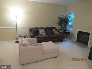 5001 Willow Branch Way unit 203, Owings Mills, MD 21117 - photo 5