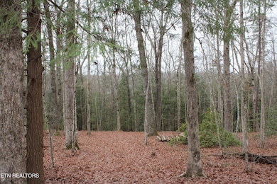 3411 Pickett Park Hwy, Jamestown, TN 38556 - photo 4