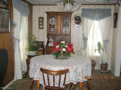 407 Vine St, Geneva, OH 44041 - photo 6