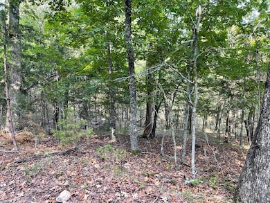 20221022215129828101000000-o