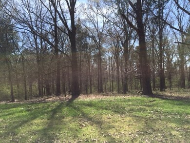 0 Houston Levee Rd unit 9972844, Gray's Creek, TN - photo 7