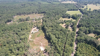 00 Plainview Rd, Pineland, TX 75968 - photo 2