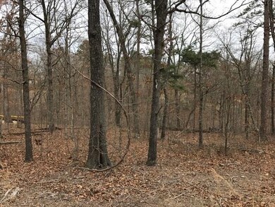 0 Frekleton Ln unit 1041589, Bella Vista, AR 72714 - photo 2