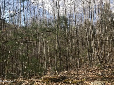 unlisted-address, Great Barrington, MA 01230 - photo 4