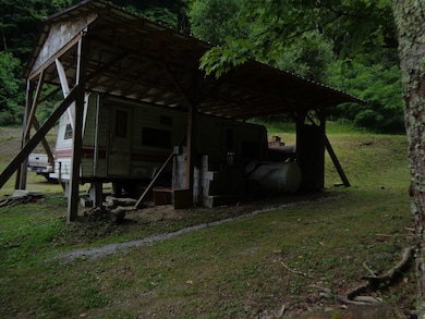 78 Rochetti Dr, Crumpler, WV 24868 - photo 3