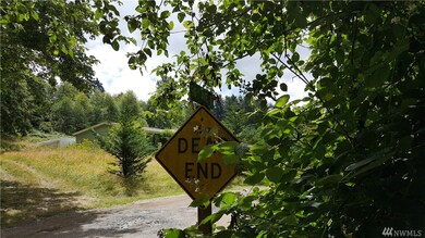 254TH 254th St E, Graham, WA 98338 - photo 6