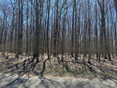 Wooded Lot