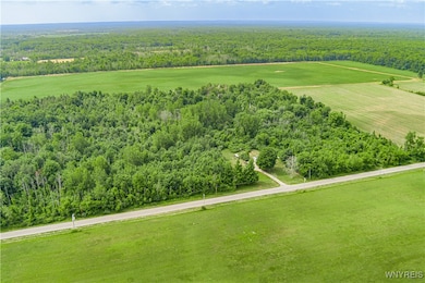 V/L Coleman Rd, Somerset, NY 14012 - photo 4