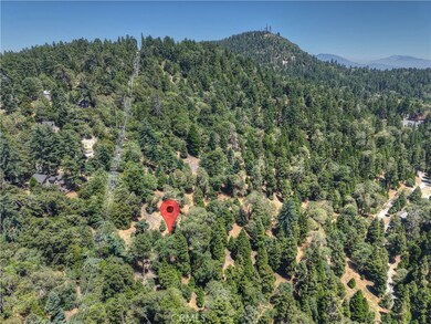 0 Pine unit IG25156077, Twin Peaks, CA 92391 - photo 5
