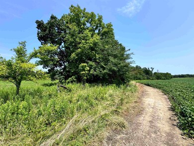 W Snoddy Pl, Covington, IN 47932 - photo 3