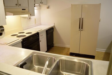 Kitchen Appliances Convey