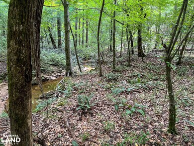 00 N Hwy 150, Pacolet, SC 29372 - photo 6