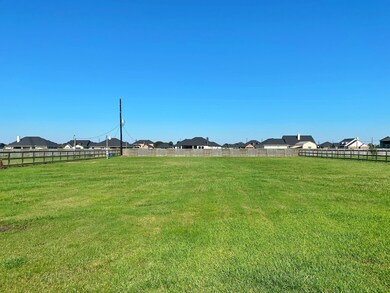 11018 Stallion Dr, Needville, TX 77461 - photo 3