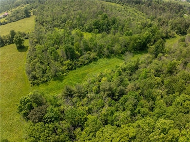 20 Nelson Rd, Danby, NY 14850 - photo 3