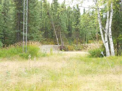 10366 Salcha Dr unit Harding Lake, Salcha, AK 99714 - photo 4