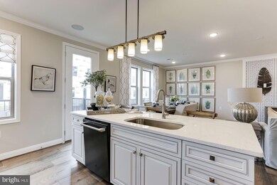 42821 Littlehales Terrace, Brambleton, VA 20148 - photo 5