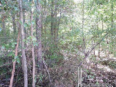 Exterior Front - 15 acres nestled away but less than 20 minutes from shopping, dining, and entertainment!