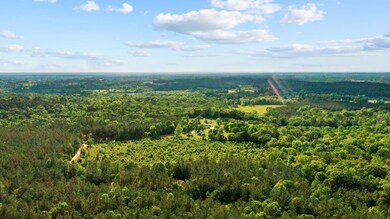 317 Hidden Leaf Trail, Nacogdoches, TX 75964 - photo 3