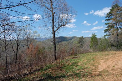 00 Arland Mountain Rd (Tract Four), Franklin, NC 28734 - photo 4