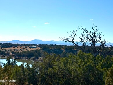 0 Cr 8637 Lot #210, Concho, AZ 85924 - photo 7