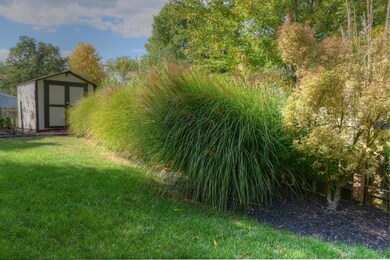 Southmin backyard 2