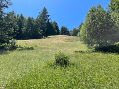 38555 Hauser Bridge Rd, Cazadero, CA 95421 - photo 4