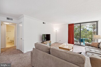 3109 Patrick Henry Dr unit 623, Falls Church, VA 22044 - photo 3