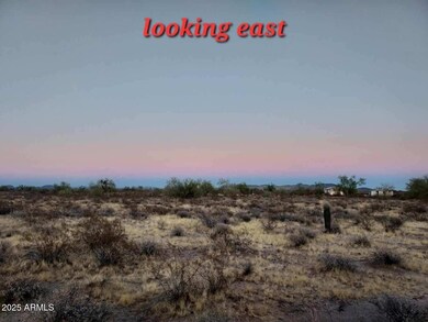 XX00 W Villa Cassandra Way unit 203, Whispering Ranch, AZ 85361 - photo 4