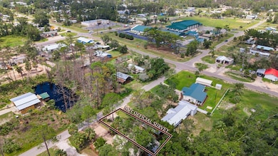 1209 Central Ave NE, Steinhatchee, FL 32359 - photo 3