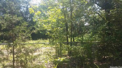 A Shale Ln, Conway, AR 72032 - photo 2