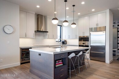 004_6633_golden_bear_loop014_610