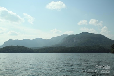 Lot 4 Quail Ridge Blvd, Lake Lure, NC 28746 - photo 2