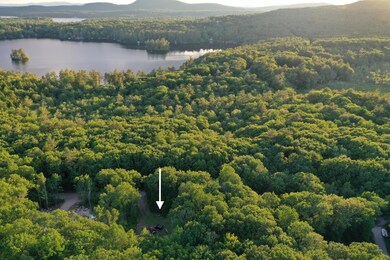 Lot 8 Spring Valley Rd, Raymond, ME 04071 - photo 4