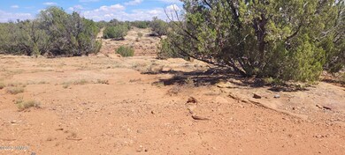 0 unit 257823, Concho, AZ 85924 - photo 6