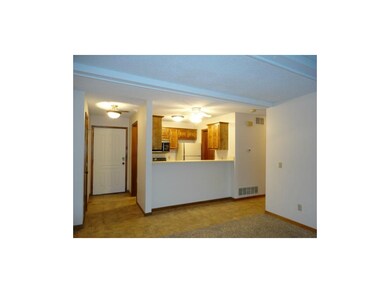 Entry Way to Kitchen and Living Room