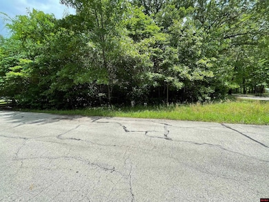 Lots 7 & 8 Deer Path Dr, Lakeview, AR 72642 - photo 2