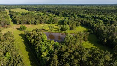 140 Flowers Rd, Fitzpatrick, AL 36029 - photo 6